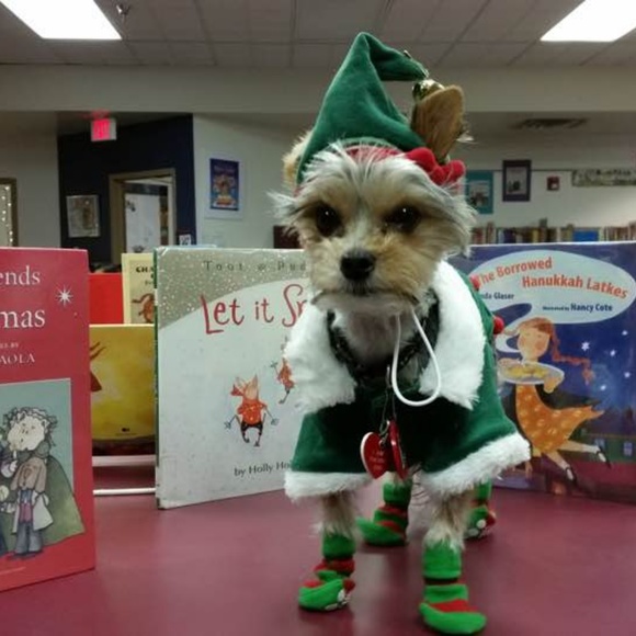 Meet your Posher! - Picture 2 of 3